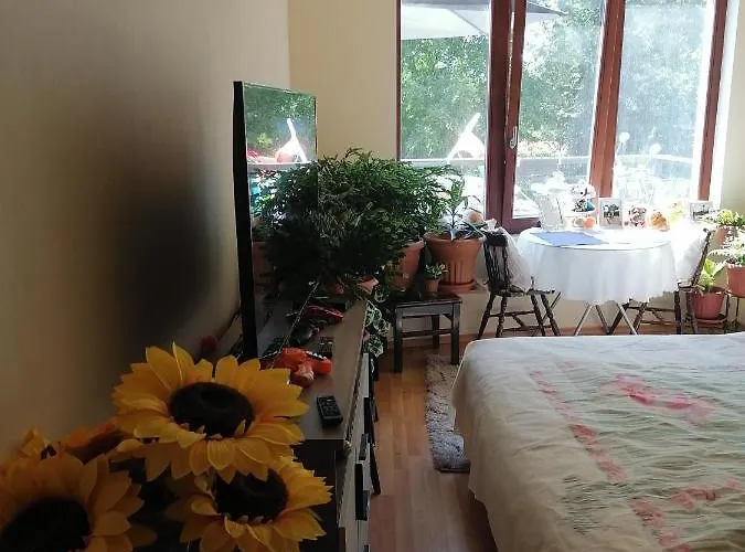 Iglika-1 Golden Sands